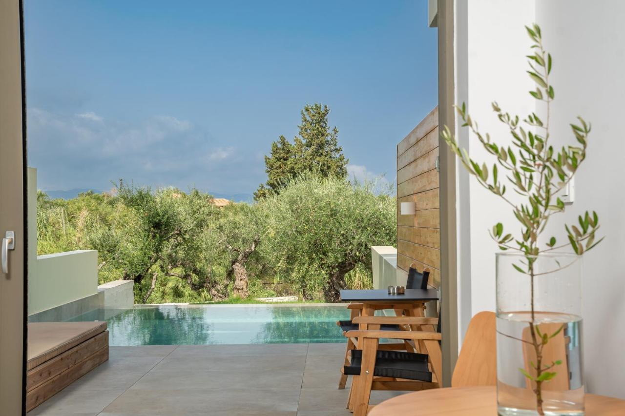 Tsamis Zante Suites (Adults Only) Psarou (Zakynthos) Exterior foto Private pool at the hotel