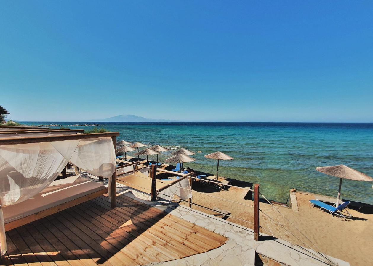Tsamis Zante Suites (Adults Only) Psarou (Zakynthos) Exterior foto Beach in Agia Marina
